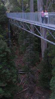Natasha Munro and Lisa McClintock on the Air Walk