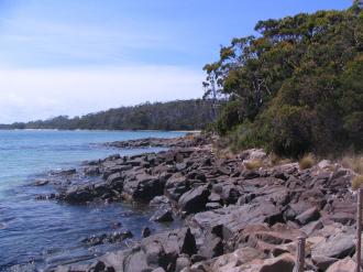 Rocky shore of Cockless Creek. Looking south towards Antarctica.