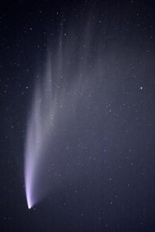 Comet McNaught taken from the gun emplacements near Tomohawk in Dunedin.