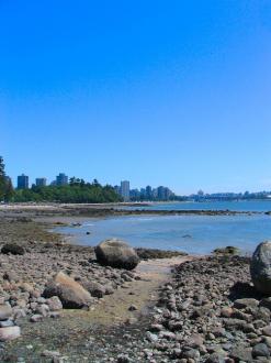 The shore on the side of Stanley Park in Vancouver