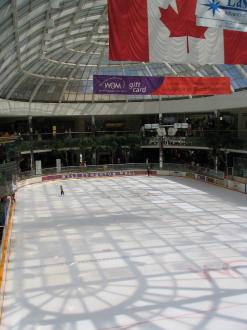 The ice rink in the West Edmonton Mall.